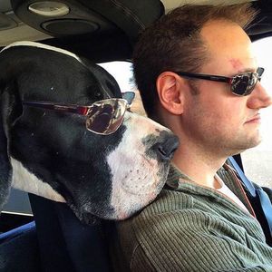 Meet your Posher, Christopher